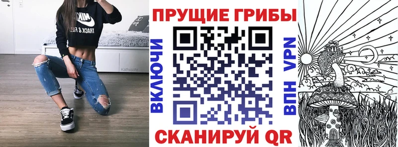 хочу наркоту  Ершов  hydra как войти  Галлюциногенные грибы GOLDEN TEACHER 